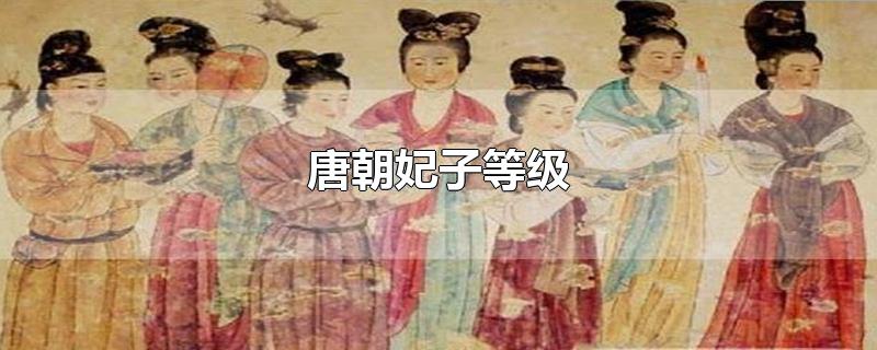 唐朝妃子等级-最新唐朝妃子等级整理解答