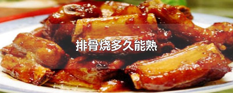 排骨烧多久能熟-最新排骨烧多久能熟整理解答