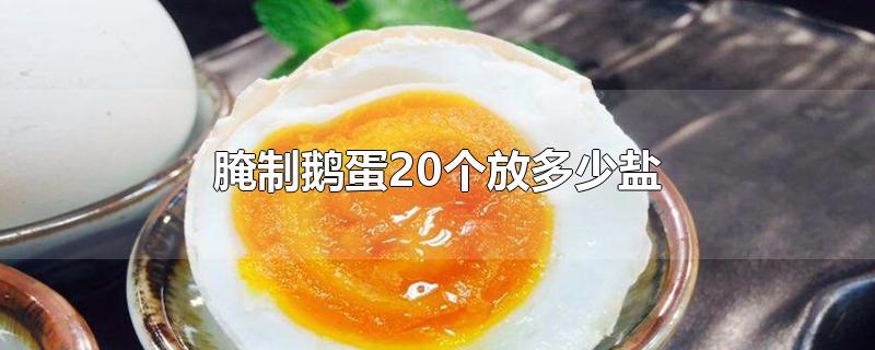 腌制鹅蛋20个放多少盐