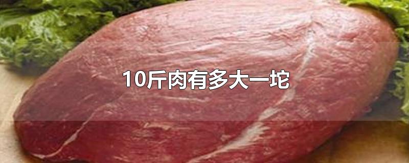 10斤肉有多大一坨-最新10斤肉有多大一坨整理解答