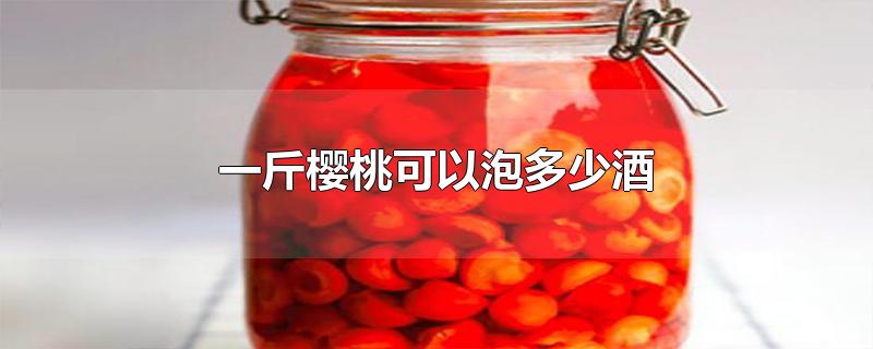 一斤樱桃可以泡多少酒