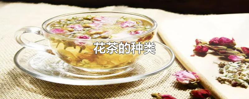 花茶的种类-最新花茶的种类整理解答