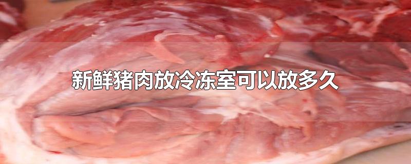 新鲜猪肉放冷冻室可以放多久