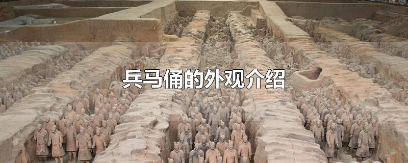 兵马俑的外观介绍