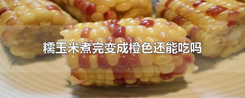 糯玉米煮完变成橙色还能吃吗