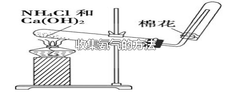 收集氨气的方法