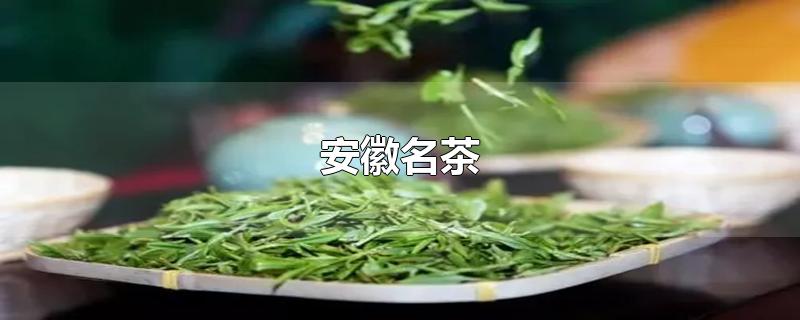 安徽名茶-最新安徽名茶整理解答