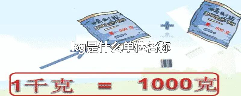 kg是什么单位名称-最新kg是什么单位名称整理解答