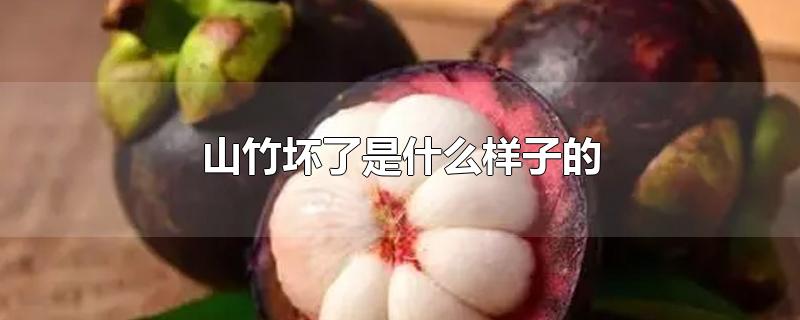 山竹坏了是什么样子的