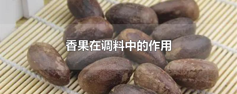 香果在调料中的作用-最新香果在调料中的作用整理解答