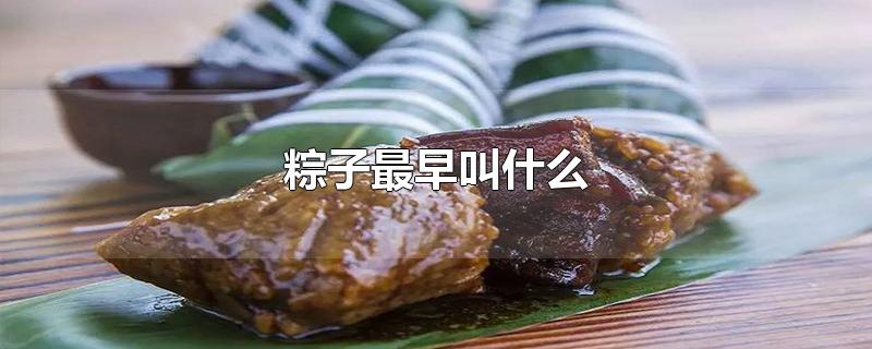 粽子最早叫什么-最新粽子最早叫什么整理解答