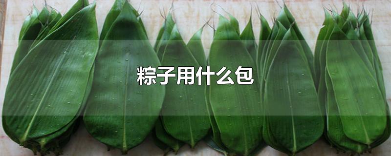 粽子用什么包-最新粽子用什么包整理解答