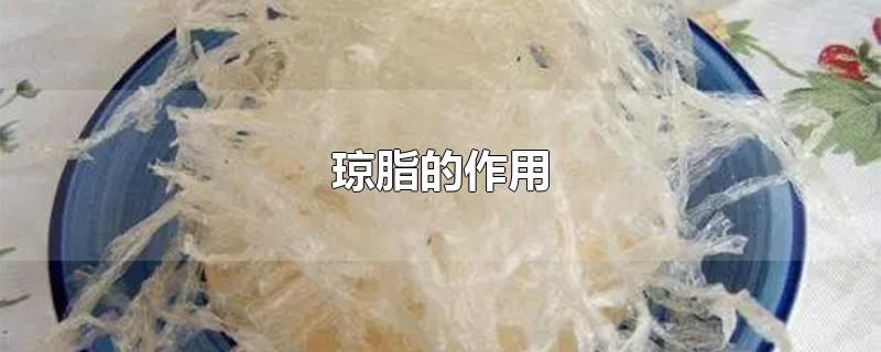 琼脂的作用-最新琼脂的作用整理解答