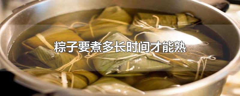 粽子要煮多长时间才能熟-最新粽子要煮多长时间才能熟整理解答