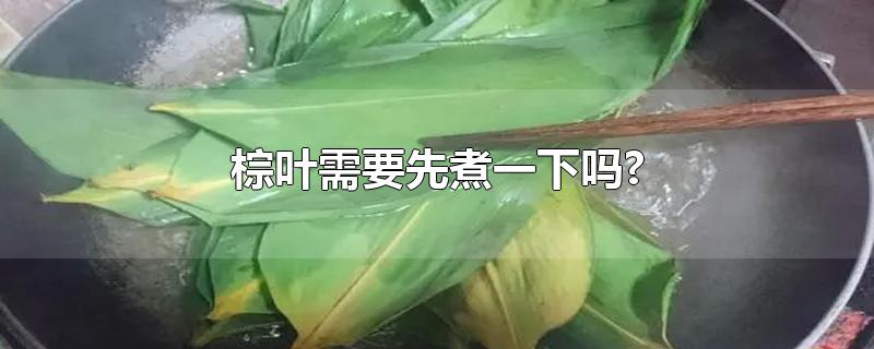 棕叶需要先煮一下吗?-最新棕叶需要先煮一下吗?整理解答