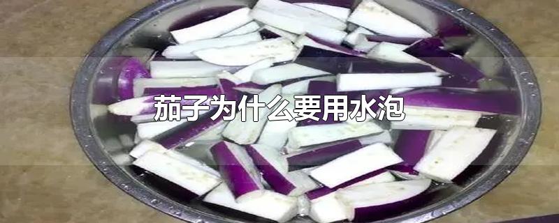 茄子为什么要用水泡-最新茄子为什么要用水泡整理解答