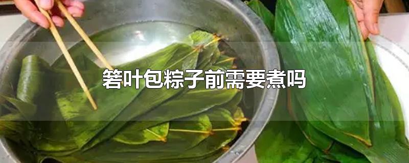 箬叶包粽子前需要煮吗