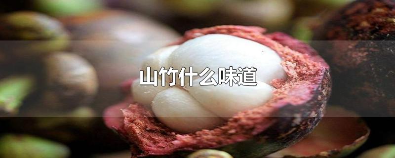 山竹什么味道-最新山竹什么味道整理解答