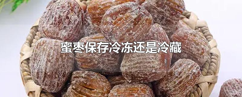 蜜枣保存冷冻还是冷藏-最新蜜枣保存冷冻还是冷藏整理解答