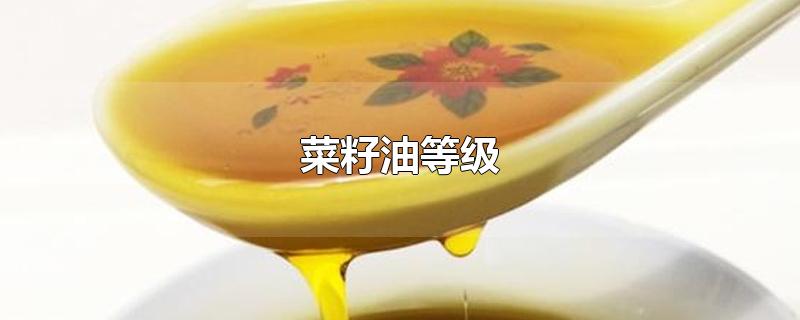 菜籽油等级-最新菜籽油等级整理解答