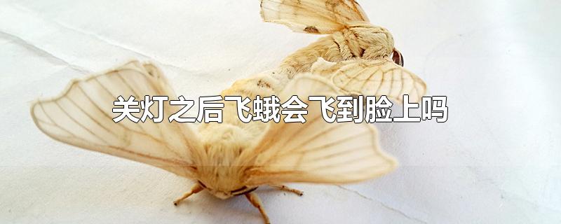 关灯之后飞蛾会飞到脸上吗-最新关灯之后飞蛾会飞到脸上吗整理解答