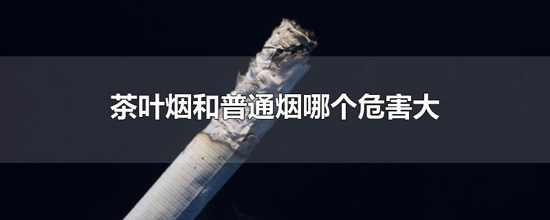 茶叶烟和普通烟哪个危害大