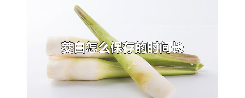 茭白怎么保存的时间长