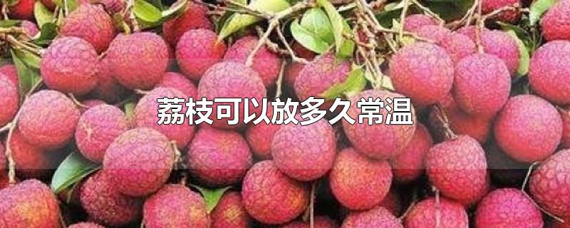 荔枝可以放多久常温-最新荔枝可以放多久常温整理解答