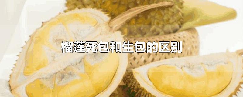 榴莲死包和生包的区别