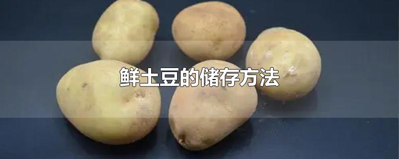 鲜土豆的储存方法-最新鲜土豆的储存方法整理解答