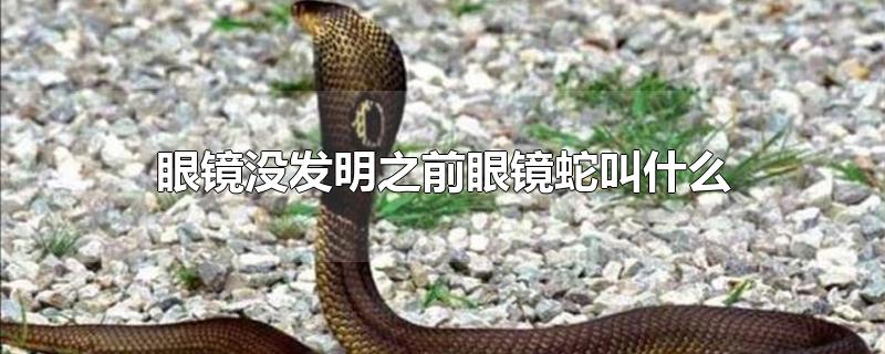 眼镜没发明之前眼镜蛇叫什么