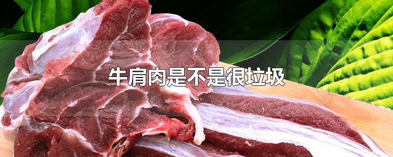 牛肩肉是不是很垃圾