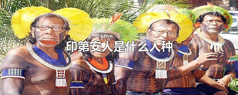 印第安人是什么人种-最新印第安人是什么人种整理解答