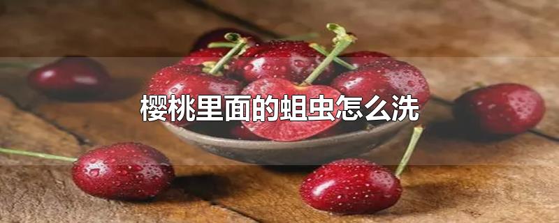 樱桃里面的蛆虫怎么洗-最新樱桃里面的蛆虫怎么洗整理解答