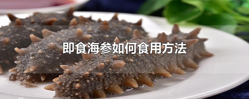 即食海参如何食用方法-最新即食海参如何食用方法整理解答