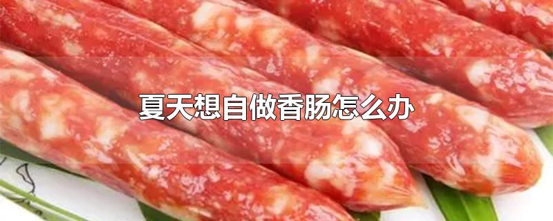 夏天想自做香肠怎么办-最新夏天想自做香肠怎么办整理解答