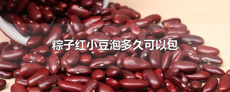 粽子红小豆泡多久可以包-最新粽子红小豆泡多久可以包整理解答