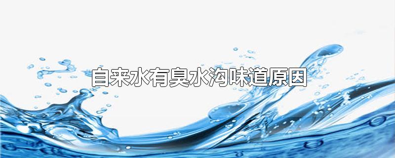 自来水有臭水沟味道原因-最新自来水有臭水沟味道原因整理解答