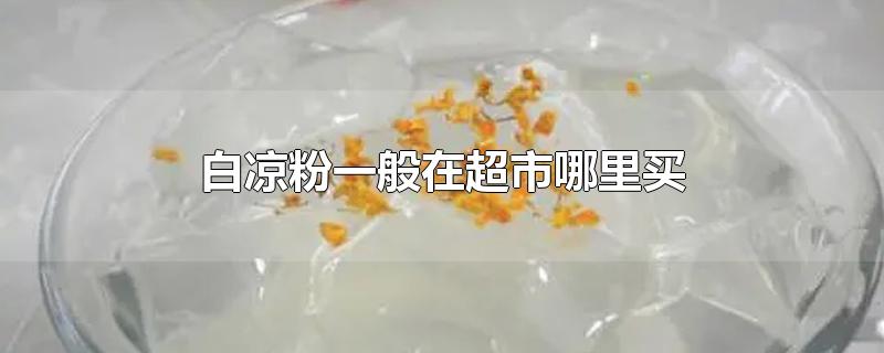 白凉粉一般在超市哪里买-最新白凉粉一般在超市哪里买整理解答