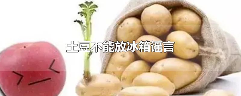 土豆不能放冰箱谣言-最新土豆不能放冰箱谣言整理解答