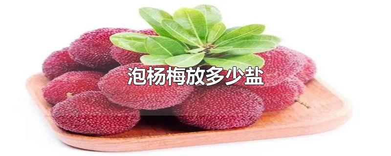 泡杨梅放多少盐