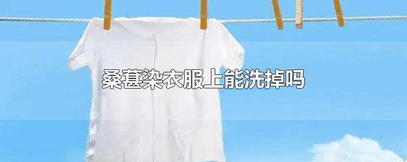 桑葚染衣服上能洗掉吗