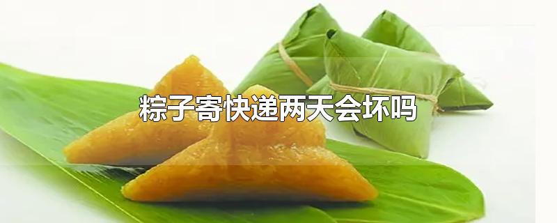 粽子寄快递两天会坏吗