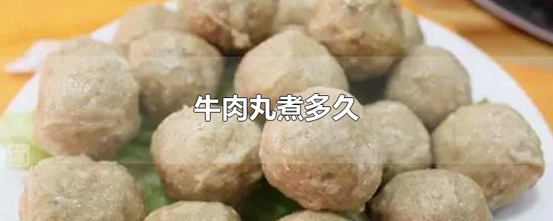 牛肉丸煮多久-最新牛肉丸煮多久整理解答