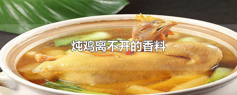 炖鸡离不开的香料-最新炖鸡离不开的香料整理解答