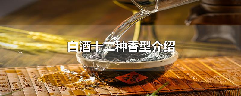 白酒十二种香型介绍-最新白酒十二种香型介绍整理解答