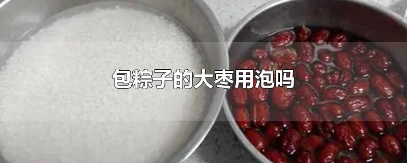 包粽子的大枣用泡吗-最新包粽子的大枣用泡吗整理解答