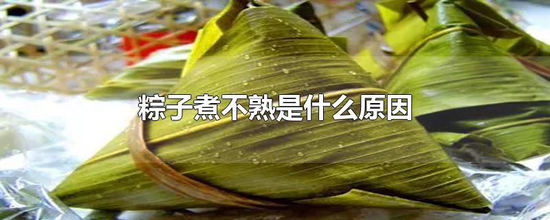 粽子煮不熟是什么原因-最新粽子煮不熟是什么原因整理解答