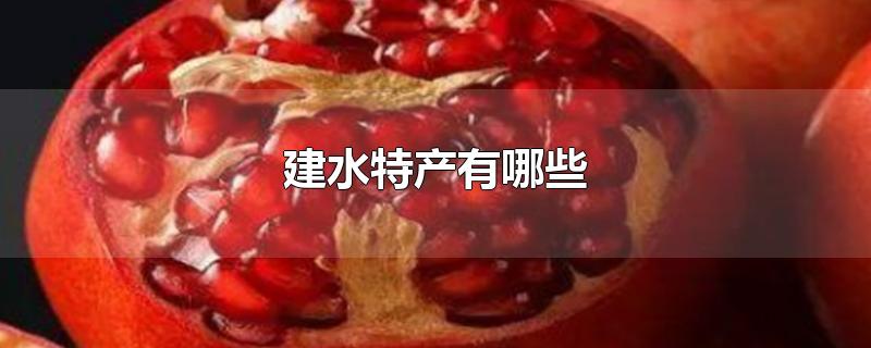 建水特产有哪些-最新建水特产有哪些整理解答