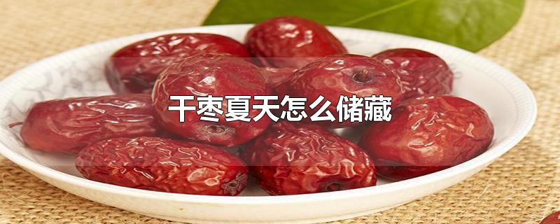 干枣夏天怎么储藏-最新干枣夏天怎么储藏整理解答